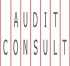 AUDIT CONSULT Brno, s.r.o. auditorská licence KA ČR č. 107 AUDIT CONSULT, a.s.