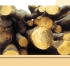 Nákup, výroba  a prodej výrobků ze dřeva