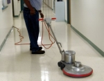A photo of a fox