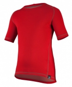 A photo of a fox