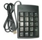 A photo of a fox
