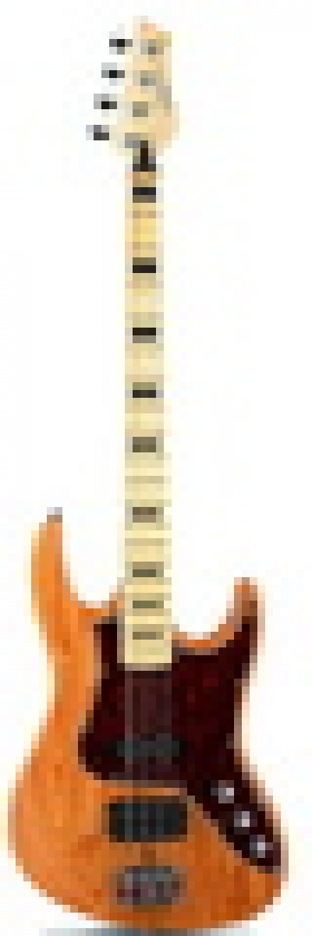 Basové kytary