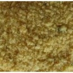 A photo of a fox