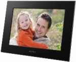 A photo of a fox