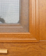 A photo of a fox