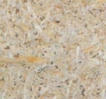 A photo of a fox
