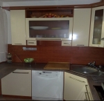 A photo of a fox