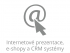 Internetové prezentace, e-shopy a CRM systémy