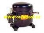 A photo of a fox