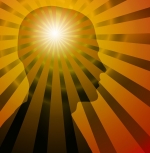 A photo of a fox