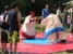 Sumo ring