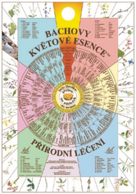 Plakát Bachových květových esencí