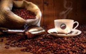 Vergnano zrnková káva