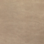 A photo of a fox