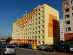 A photo of a fox