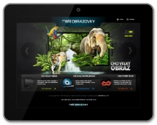 Firemní/ produktová online prezentace (www.obriobrazovky.cz)