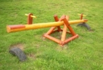 A photo of a fox