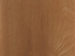 A photo of a fox