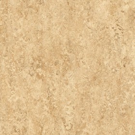 Linoleum 