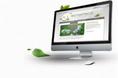Vlastní web a internetový marketing