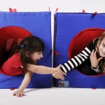 A photo of a fox