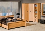 A photo of a fox