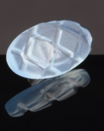 A photo of a fox