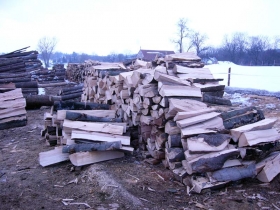 Palivové dřevo - tvrdé