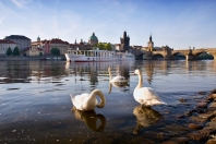 Florentina u Karlova mostu
