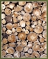  Palivo jehličnaté (měkké), bříza, buk a dub o délkách 25 cm, 33 cm, 40 cm, 50 cm