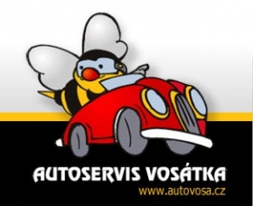 Výměna autoskel