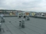 Tvrdé krytiny střech