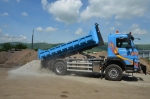 A photo of a fox