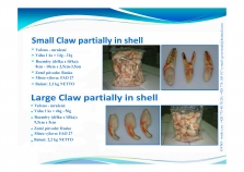 CLAW