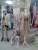 Elisa Cavaletti-Jasmin fashion Ceske Budejovice