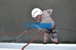 A photo of a fox