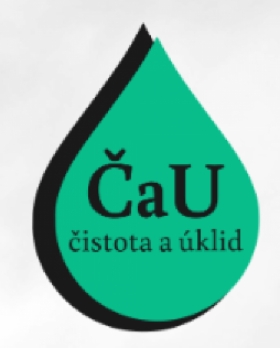 Profesionální úklid